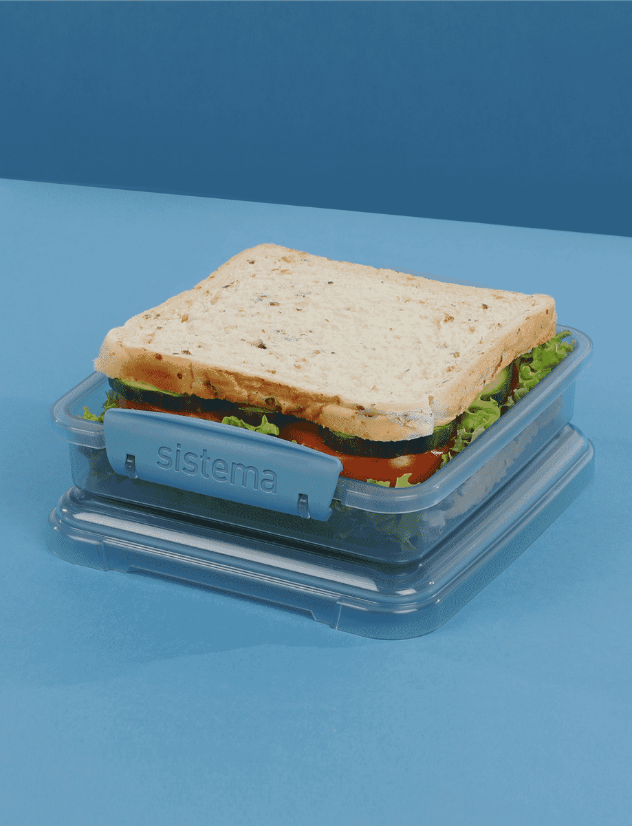450ml Sandwich Box-Mountain Blue