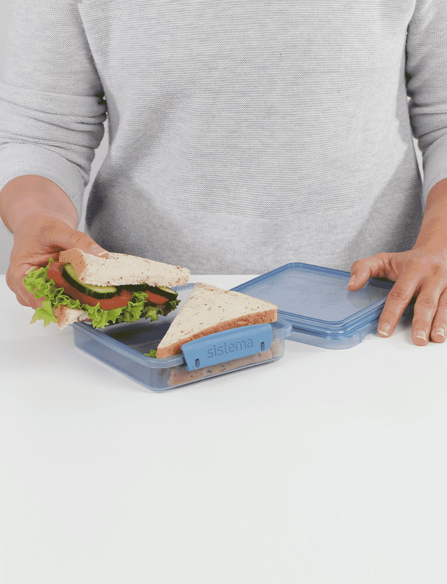 450ml Sandwich Box-Mountain Blue