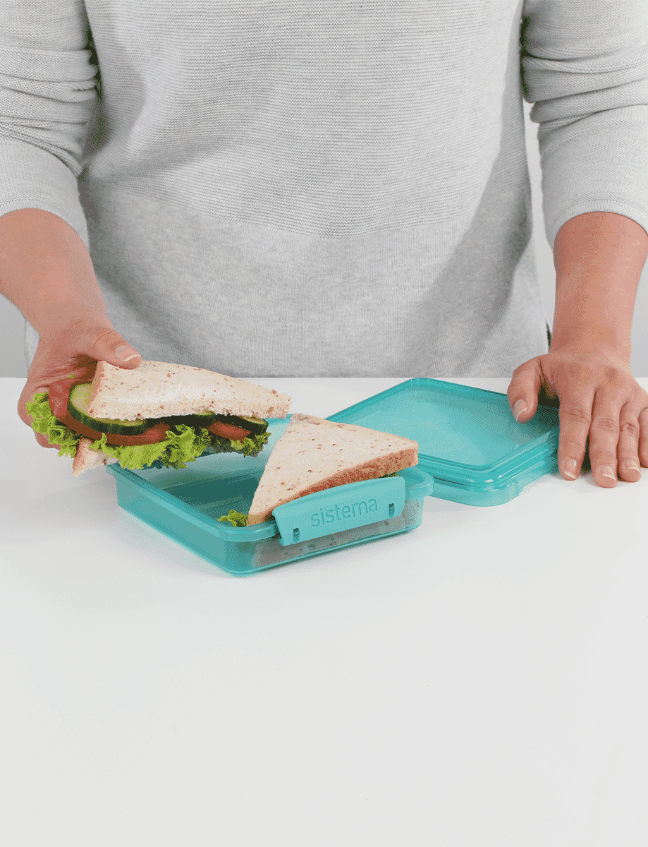 450ml Sandwich Box-Teal Stone
