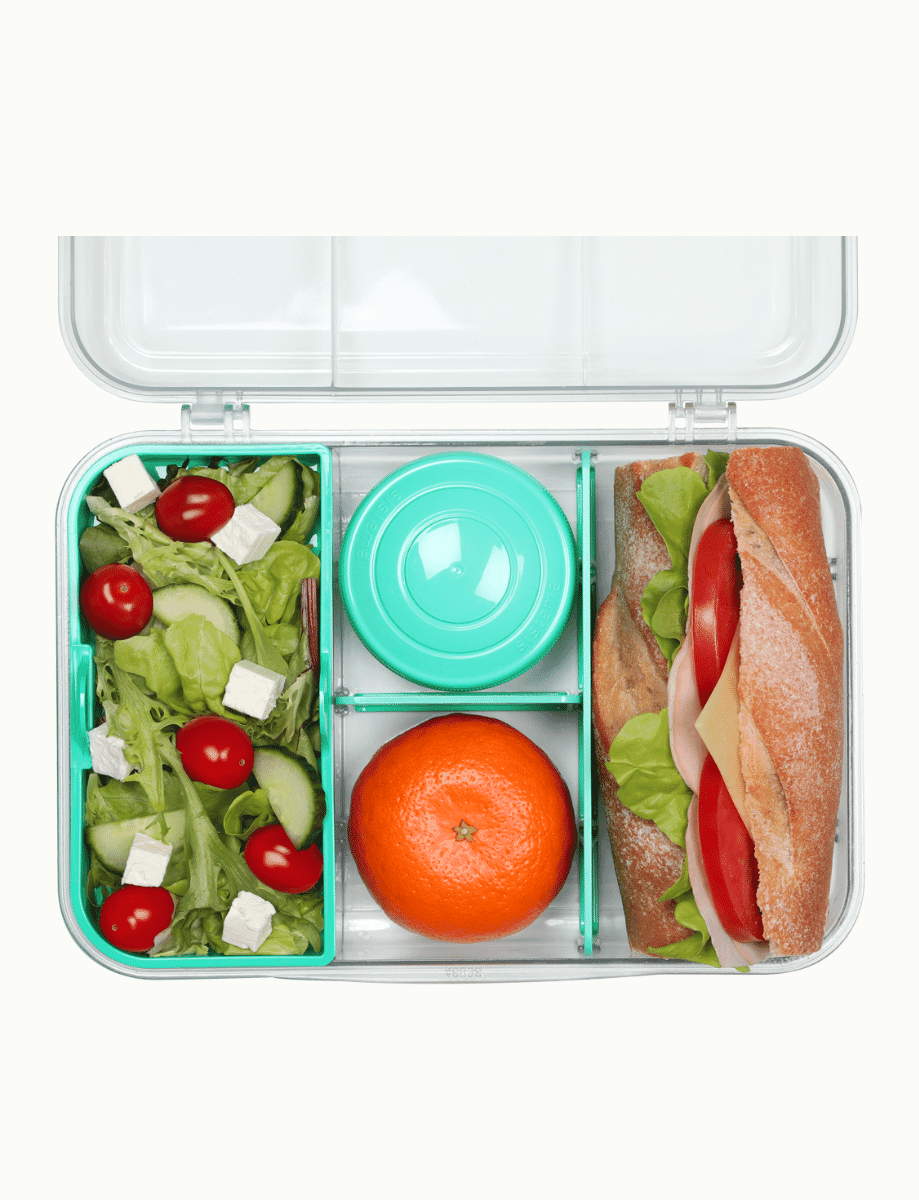 Sistema To Go Collection Bento Box Plastic Lunch and Food Storage Cont –  MODAndME