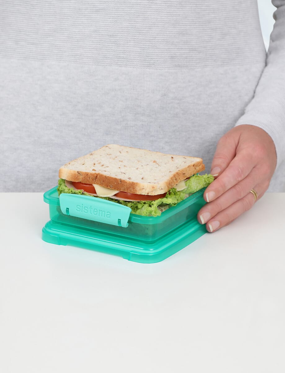 450ml Sandwich Box-Teal
