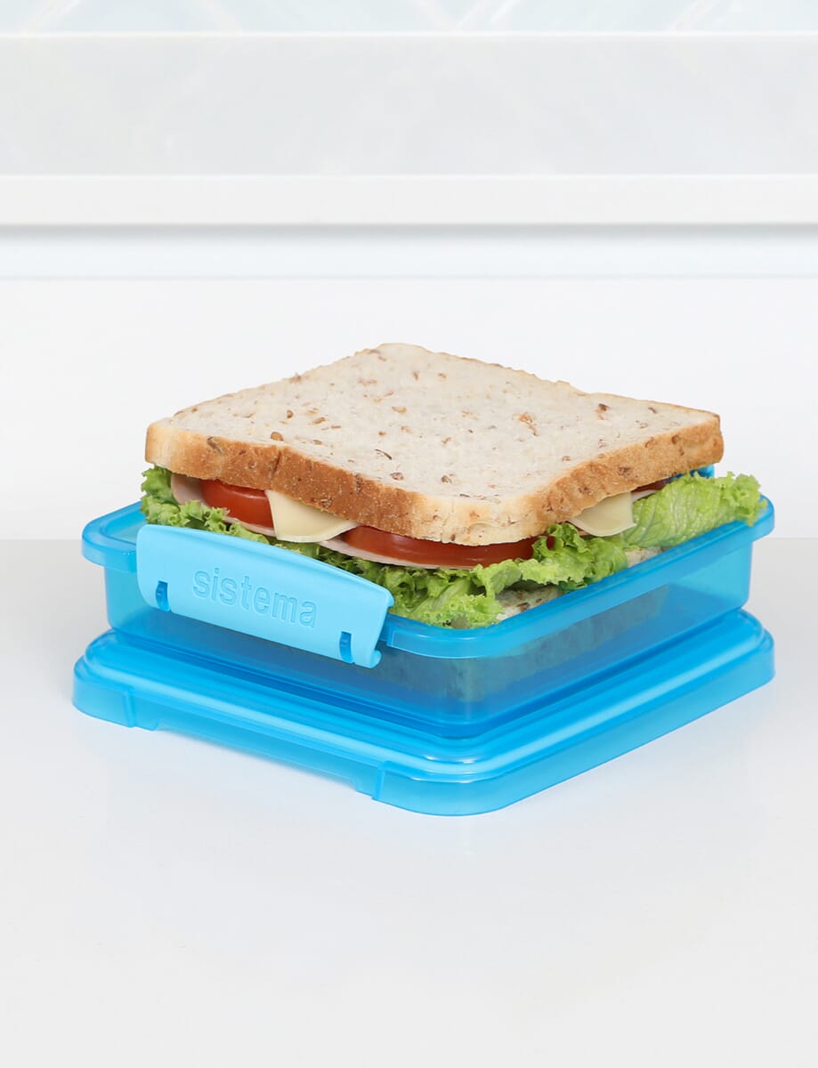 450ml Sandwich Box-Blue