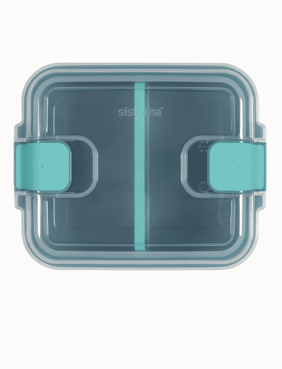 1.35 L Rectangle Container With Divider -Reef Green