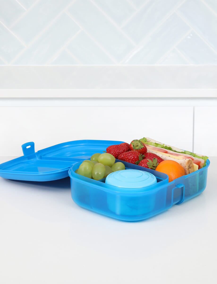 1pc 4-Compartment Bento Lunch Box - Microwave, Dishwasher, and Freezer Safe  - Perfect for Back to School and On-the-Go Meals