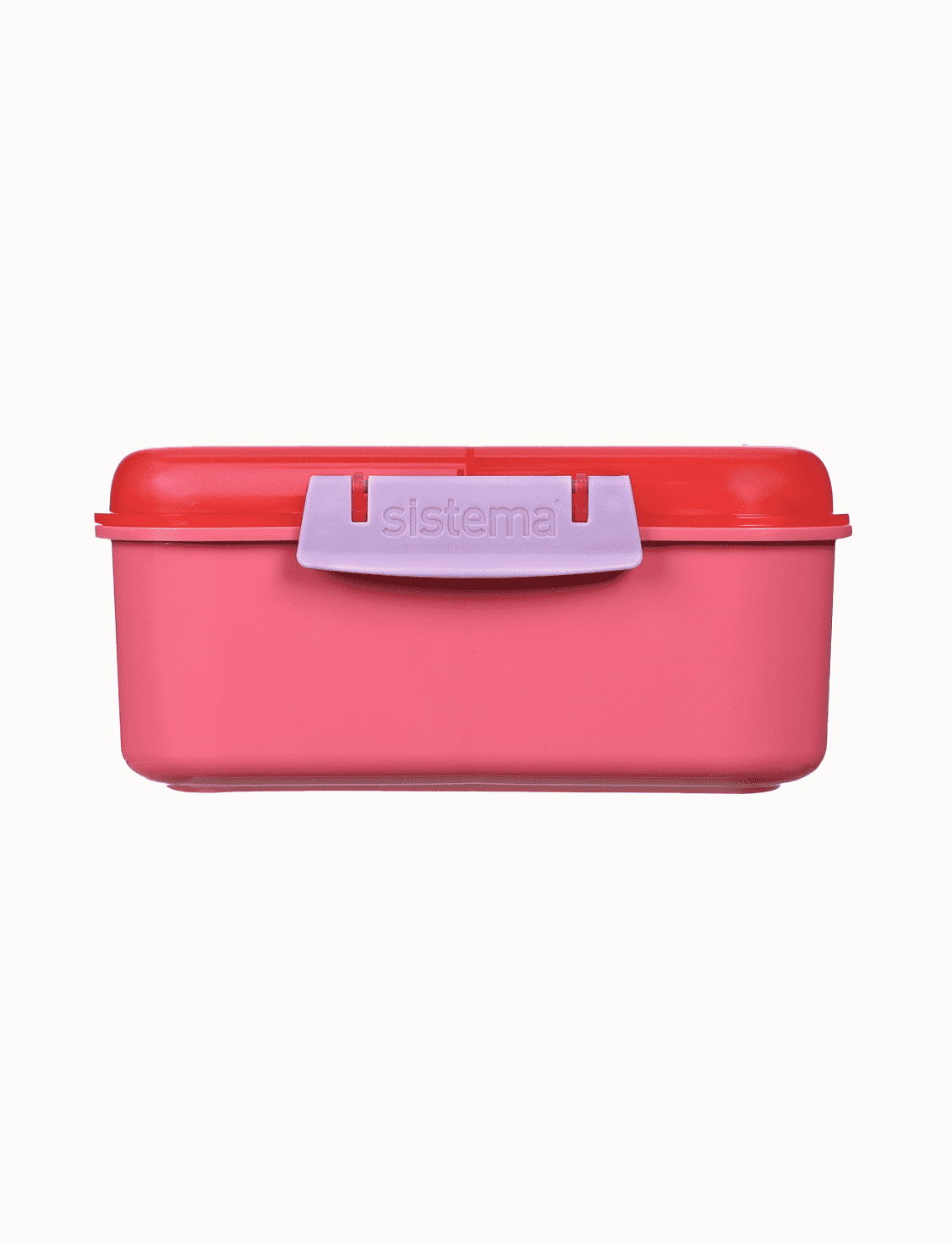 1.25 L Bento Cube-Popsicle