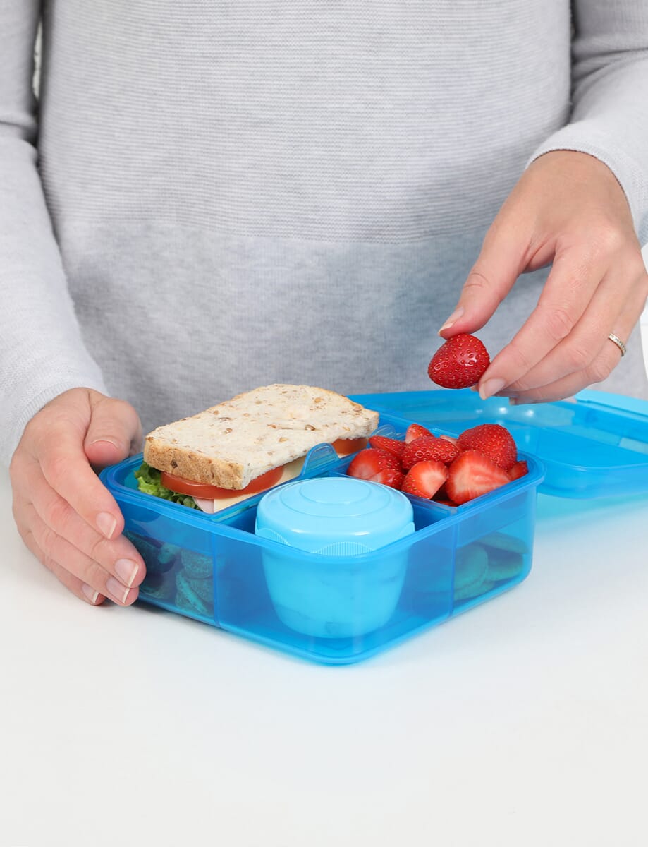 1.25L Bento Cube with Yogurt Pot-Blue