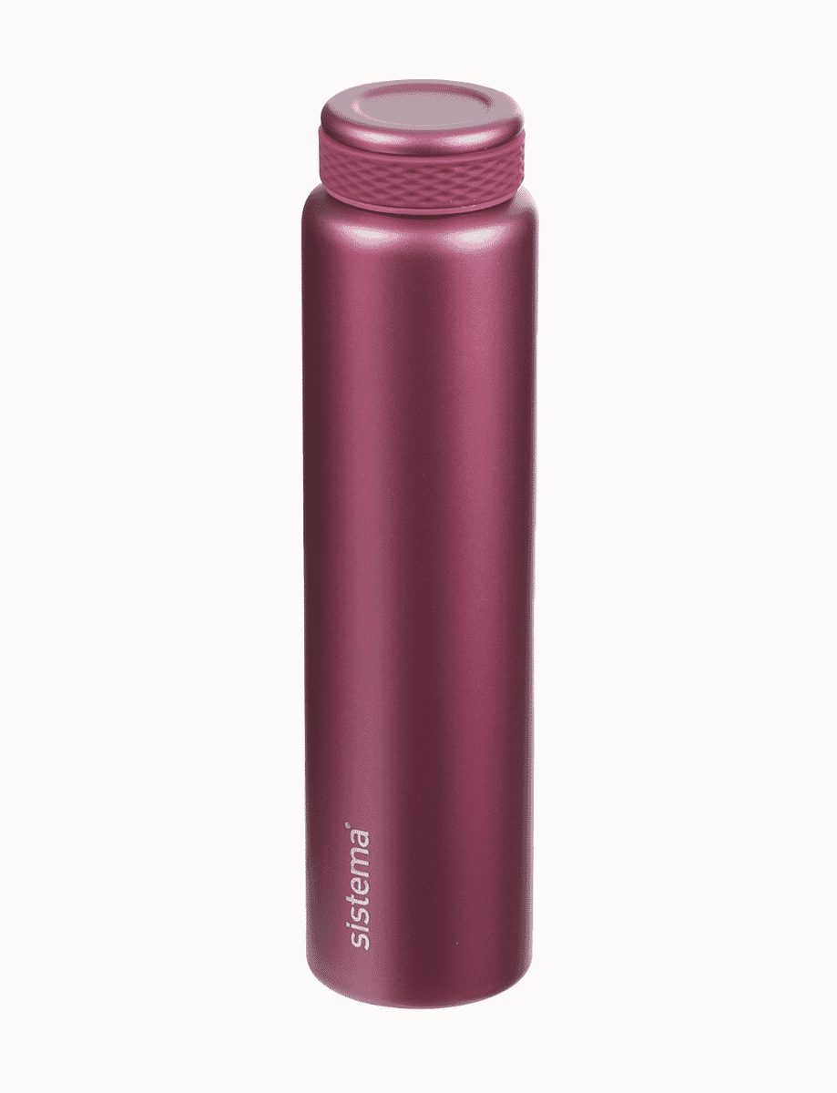 280ml Stainless Steel Bottle-Fig Purple 