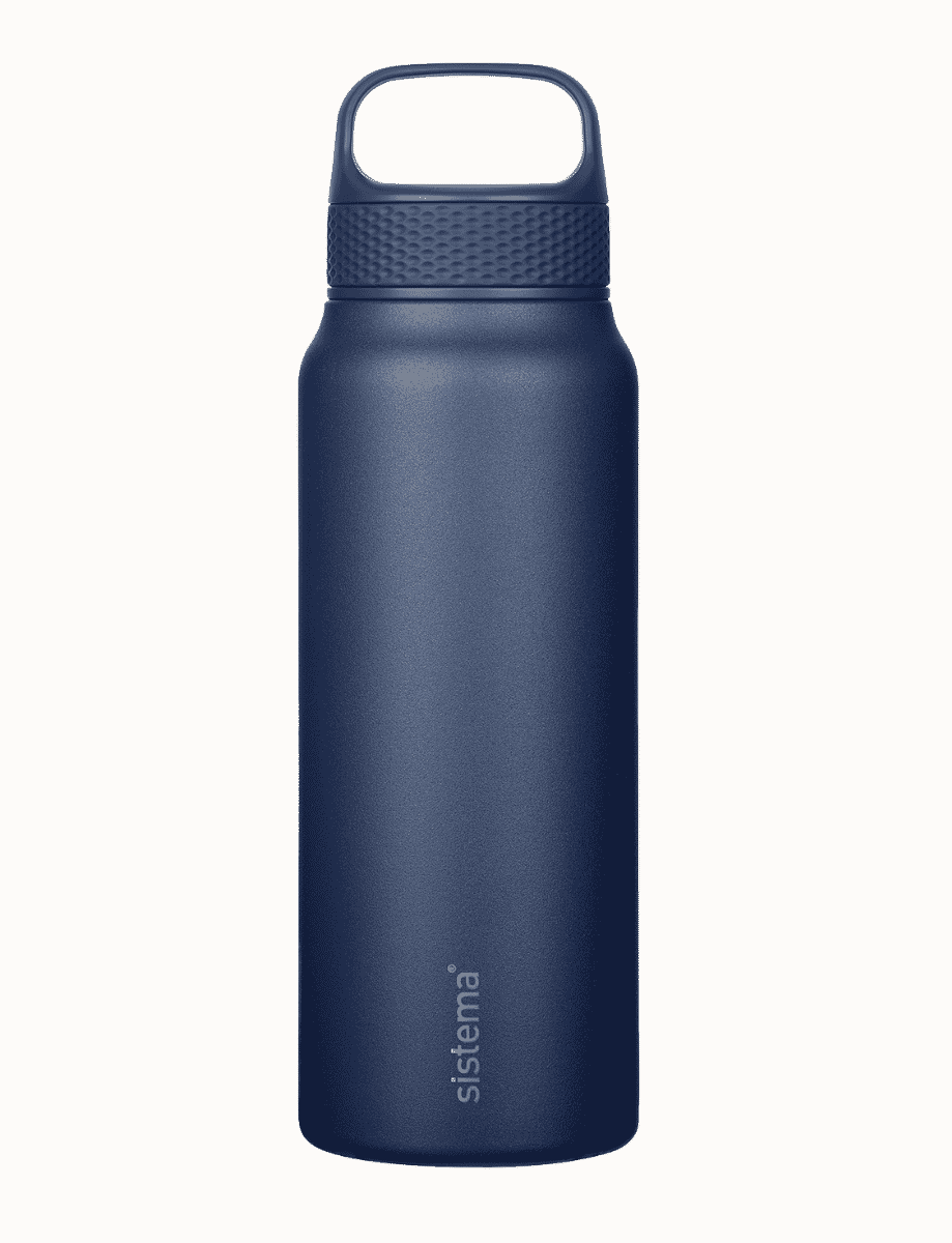 650ml Stainless Steel-Future Dusk 2