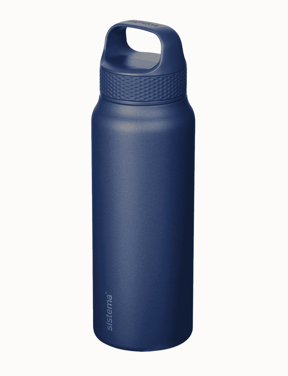 650ml Stainless Steel-Future Dusk 2